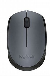 ���� ������ ������ M171