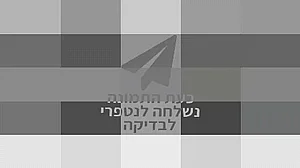 ����-���' ������� ����� SP8861