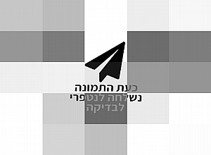 ���� ����� ����� �����