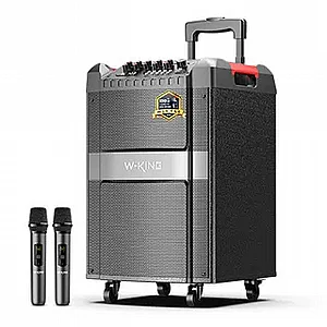 w-king ����� K12