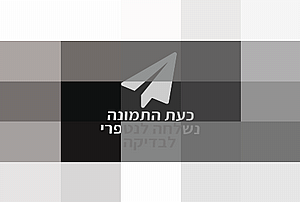סט עכבר מקלדת גולד-טאצ' KYW700 סט עכבר מקלדת גולד-טאצ' KYW700